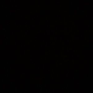 Meet your Posher, Lizbeth